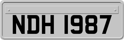 NDH1987