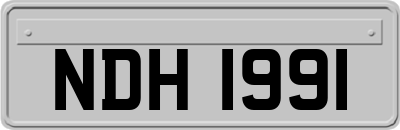 NDH1991