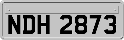 NDH2873