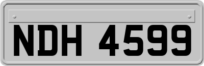 NDH4599