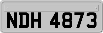 NDH4873