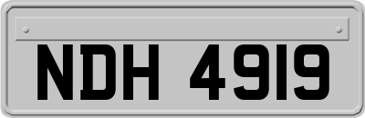 NDH4919