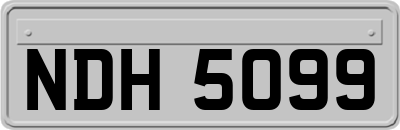 NDH5099