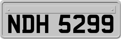 NDH5299