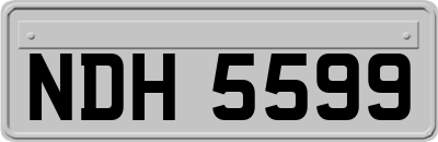 NDH5599