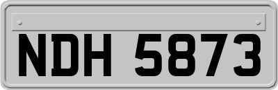 NDH5873