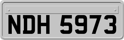NDH5973