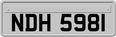 NDH5981