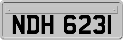 NDH6231