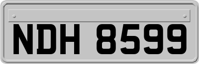 NDH8599