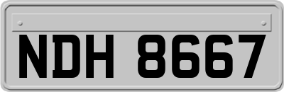 NDH8667