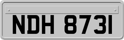 NDH8731