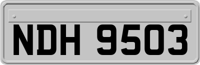 NDH9503