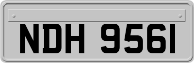 NDH9561