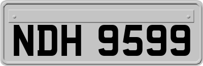 NDH9599