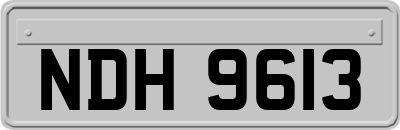 NDH9613