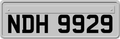 NDH9929