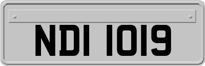 NDI1019