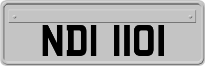 NDI1101