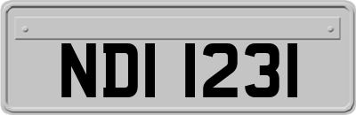NDI1231