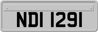 NDI1291