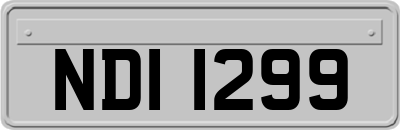 NDI1299