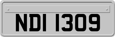 NDI1309