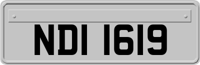 NDI1619