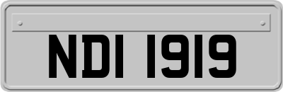 NDI1919