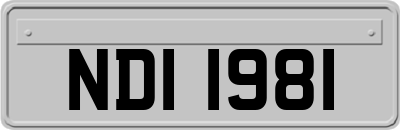 NDI1981