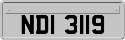 NDI3119