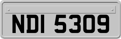 NDI5309