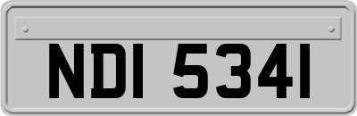 NDI5341