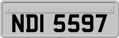 NDI5597