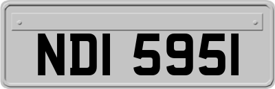 NDI5951