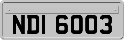 NDI6003