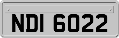 NDI6022