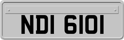 NDI6101