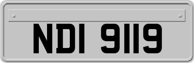 NDI9119
