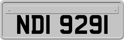 NDI9291