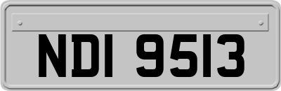 NDI9513