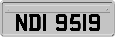 NDI9519