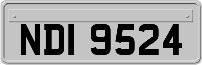 NDI9524