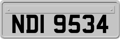 NDI9534