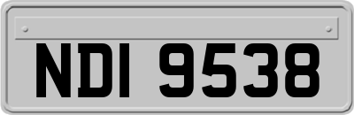NDI9538