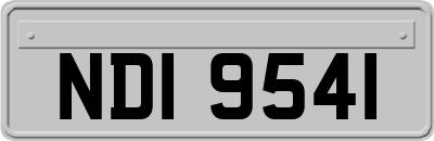 NDI9541