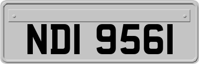NDI9561