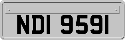 NDI9591