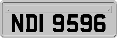 NDI9596