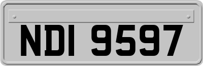 NDI9597